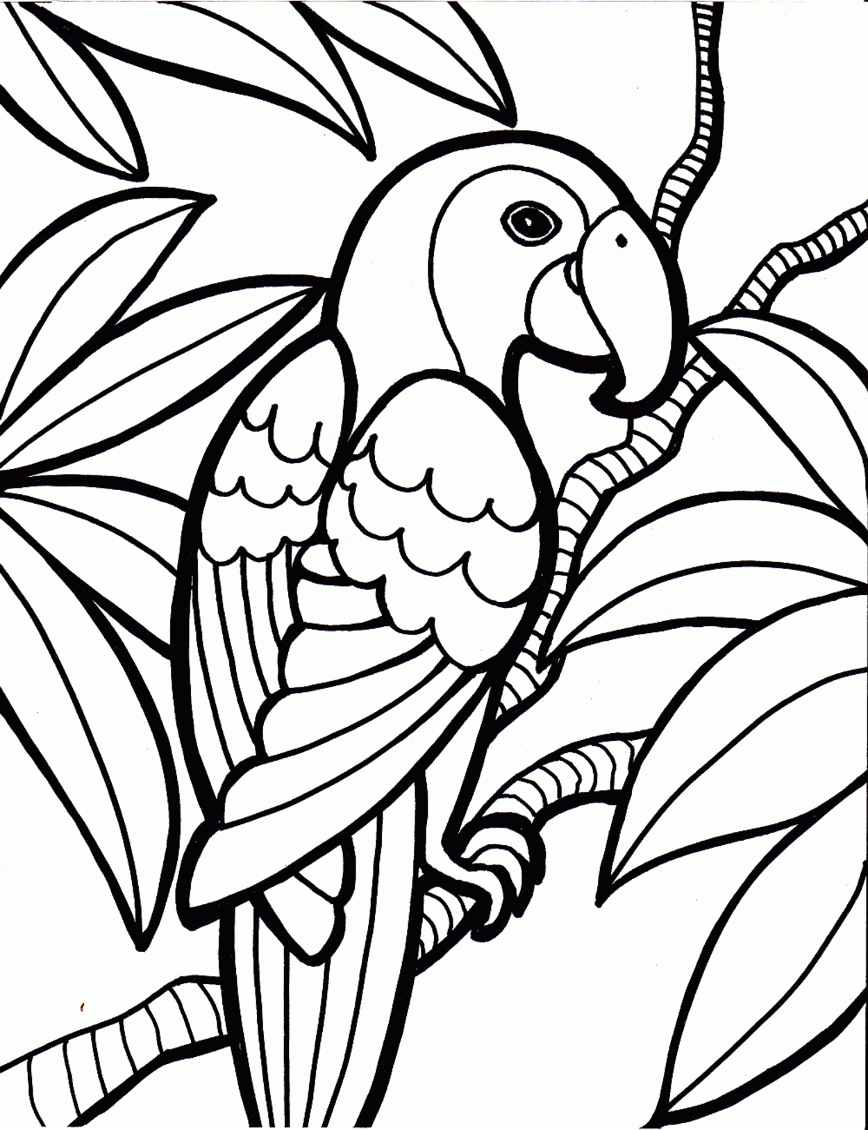 Bird coloring pages to download and print for free