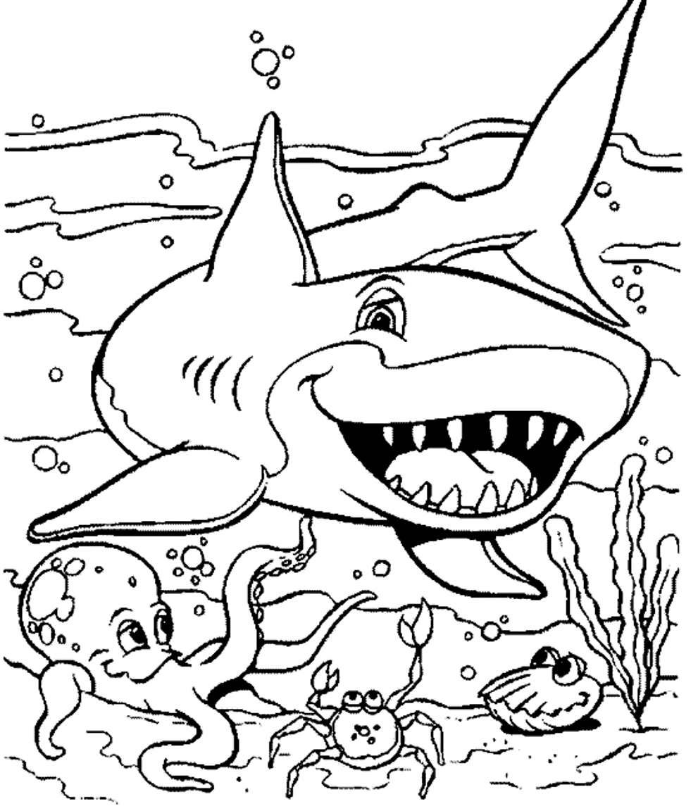 Sea life coloring pages to download and print for free