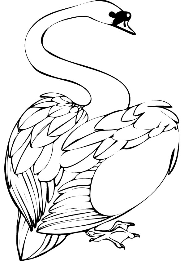 Swan Coloring Pages - Kidsuki