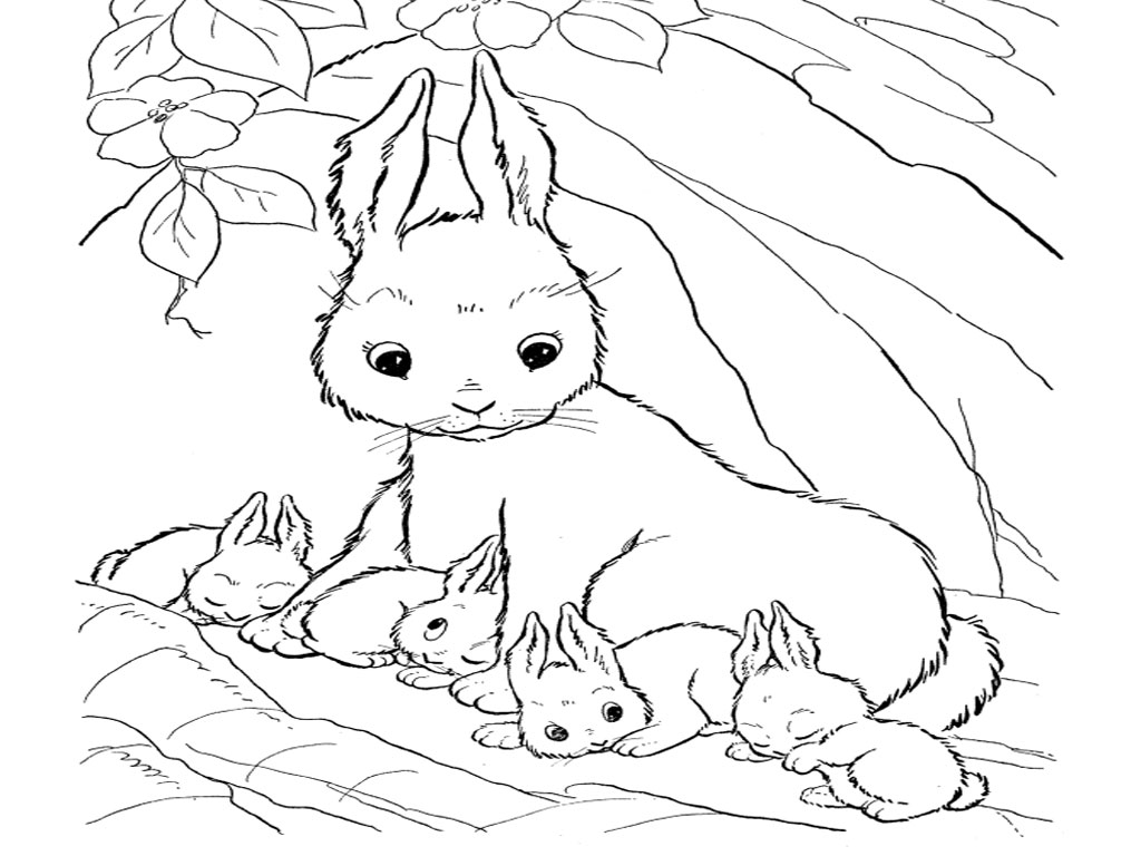 Real bunny coloring pages download and print for free