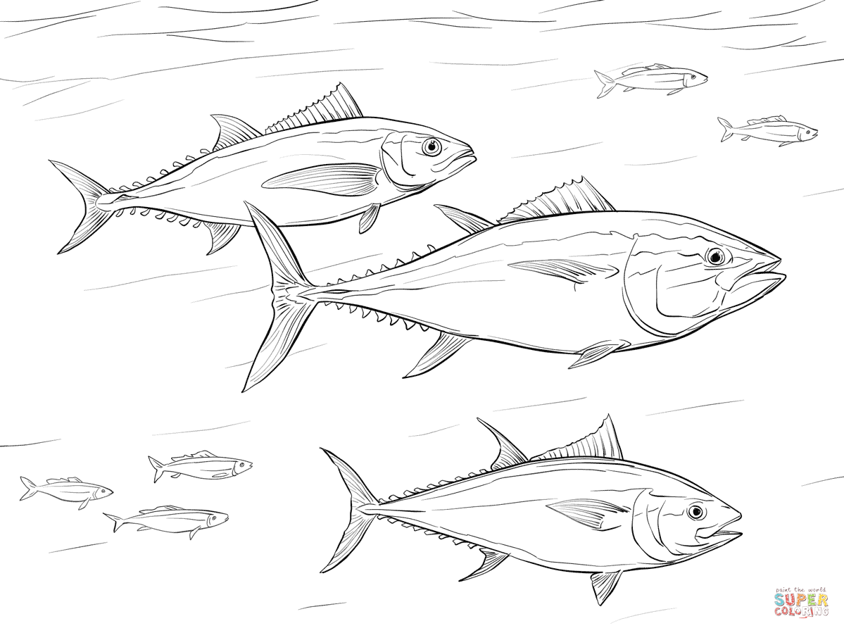 Pacific salmon coloring pages download and print for free