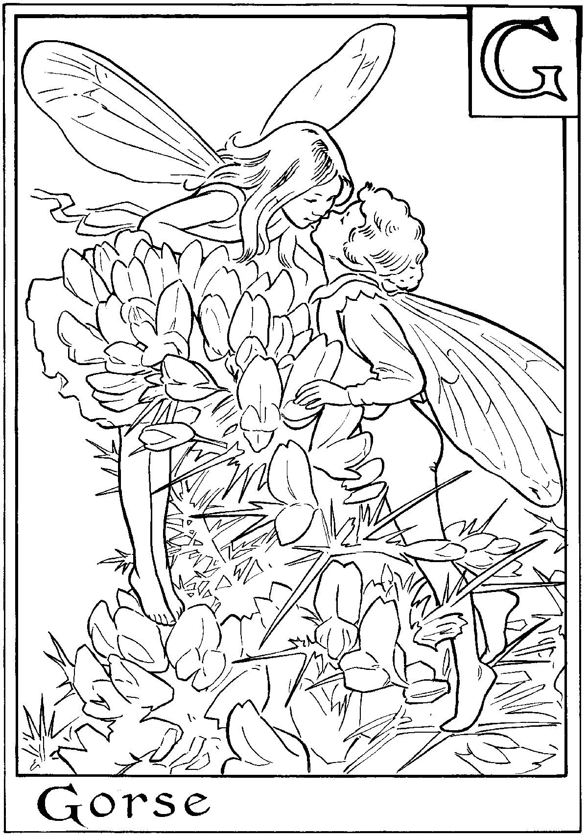 Fairy coloring pages for adults