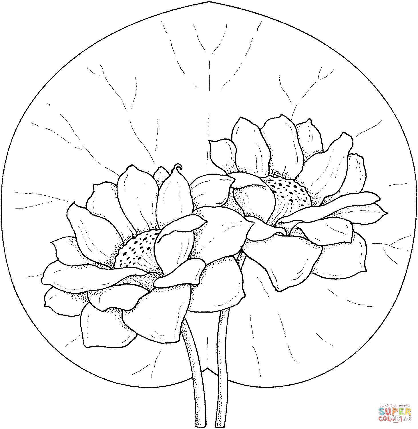 Water lilies coloring pages download and print for free