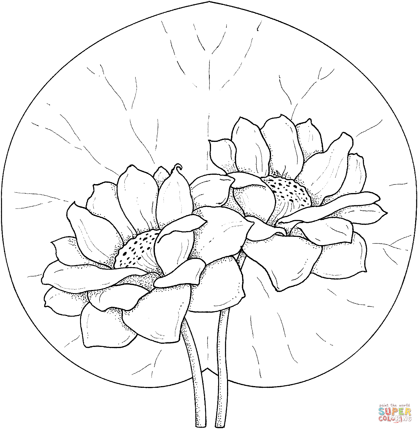 Free Printable Water Lily Template Printable Templates