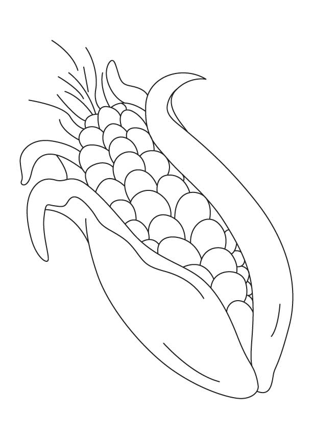 Corn coloring pages to download and print for free