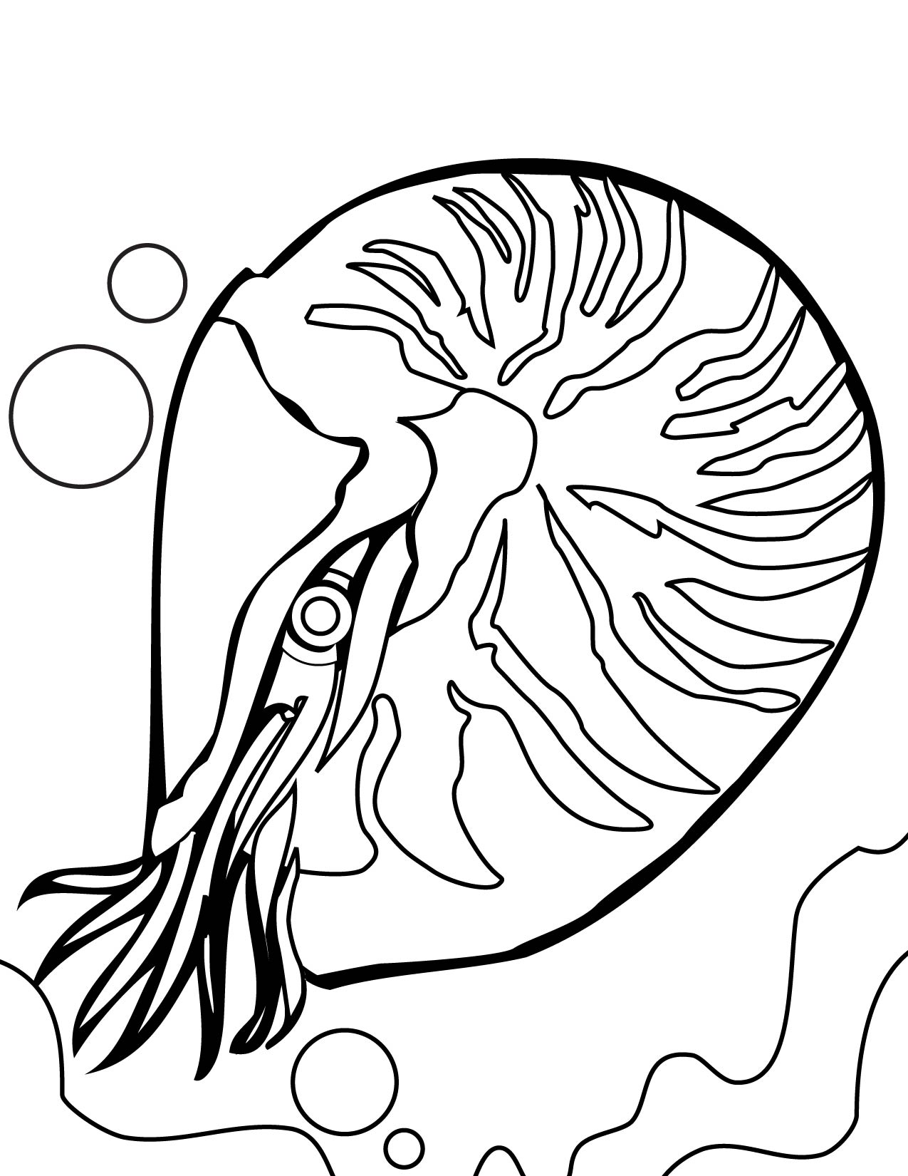 Coral coloring pages to download and print for free