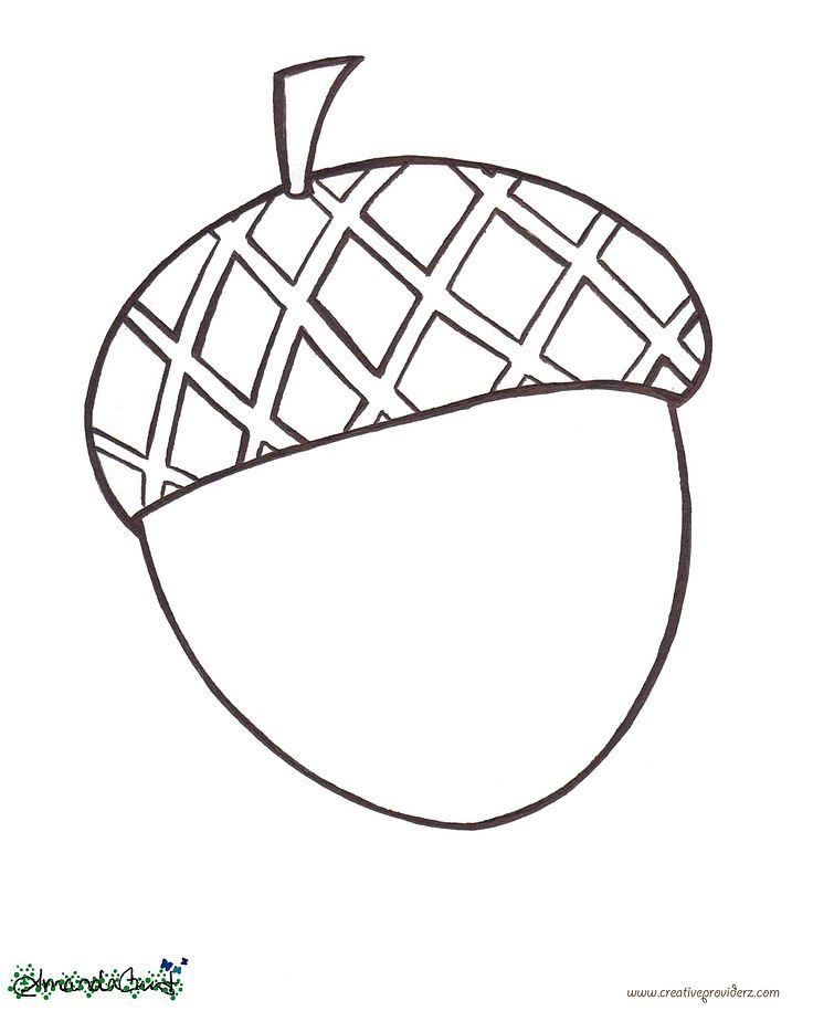 Acorn coloring pages to download and print for free