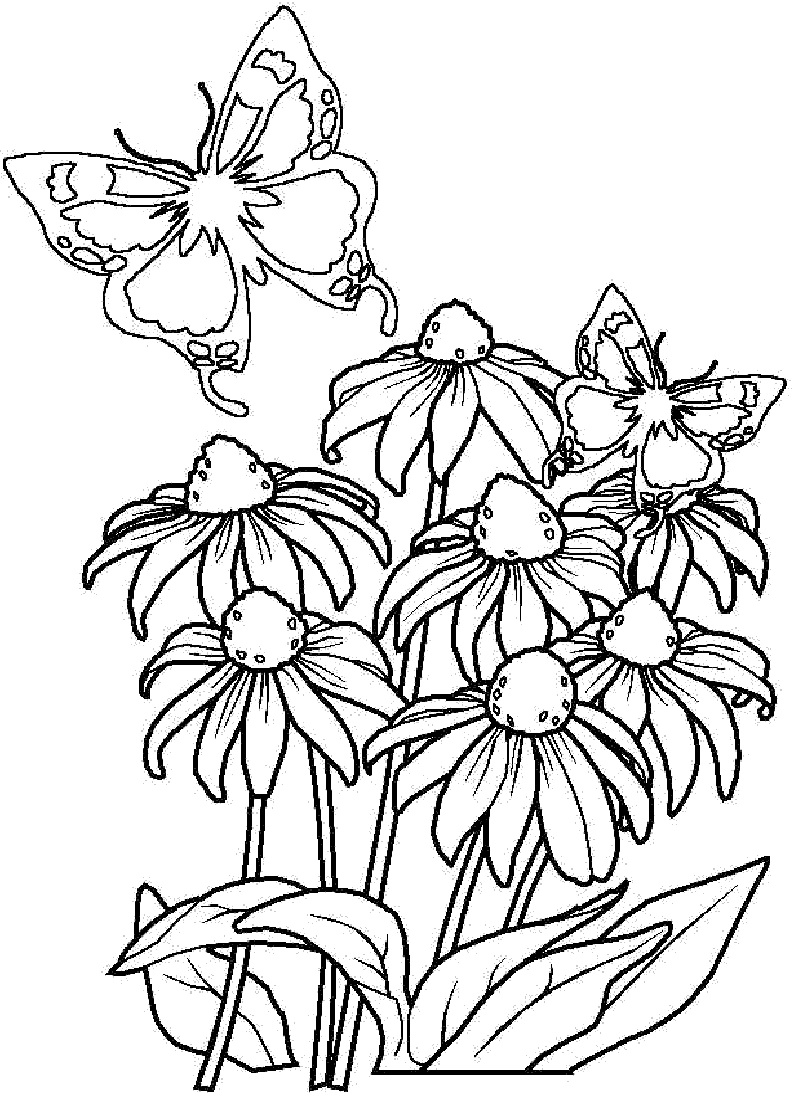 printable flower bouquet coloring page Coloring adult flower bouquet pages adults printable advanced colorwithfuzzy pdfs