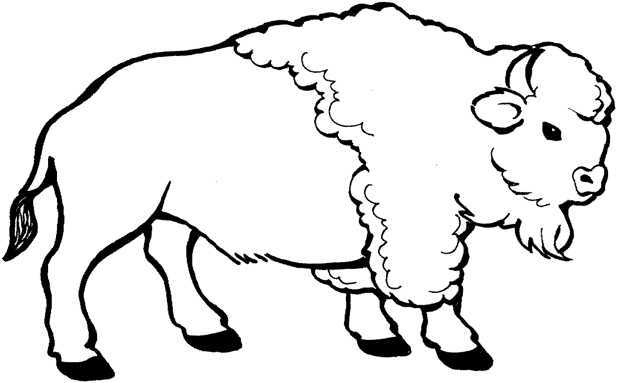 Bison coloring pages to download and print for free