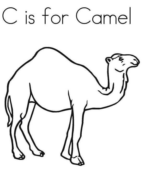 camel pages for coloring - photo #25
