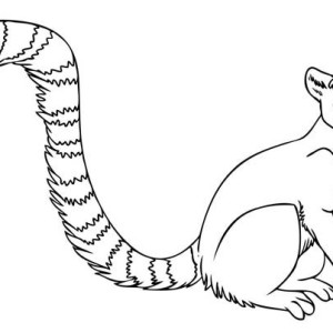 Tail coloring pages to download and print for free
