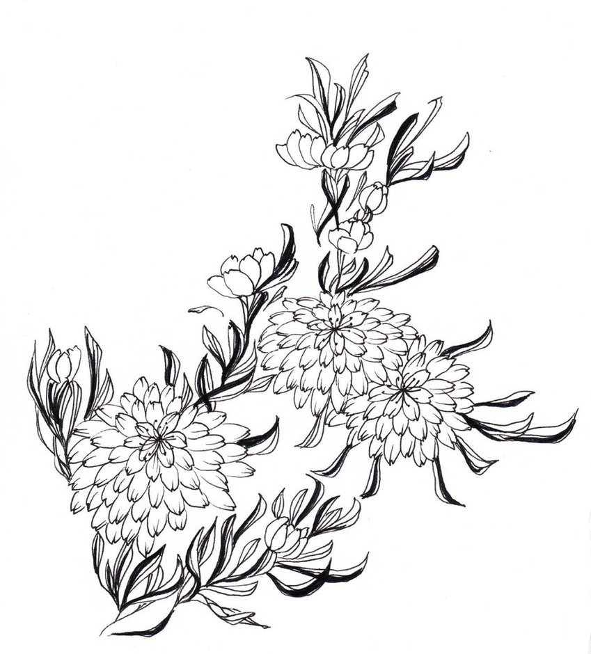 Chrysanthemum coloring pages to download and print for free