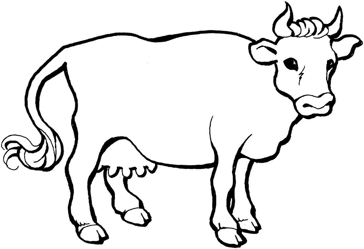 Free Cows coloring pages to print for kids Download print and color