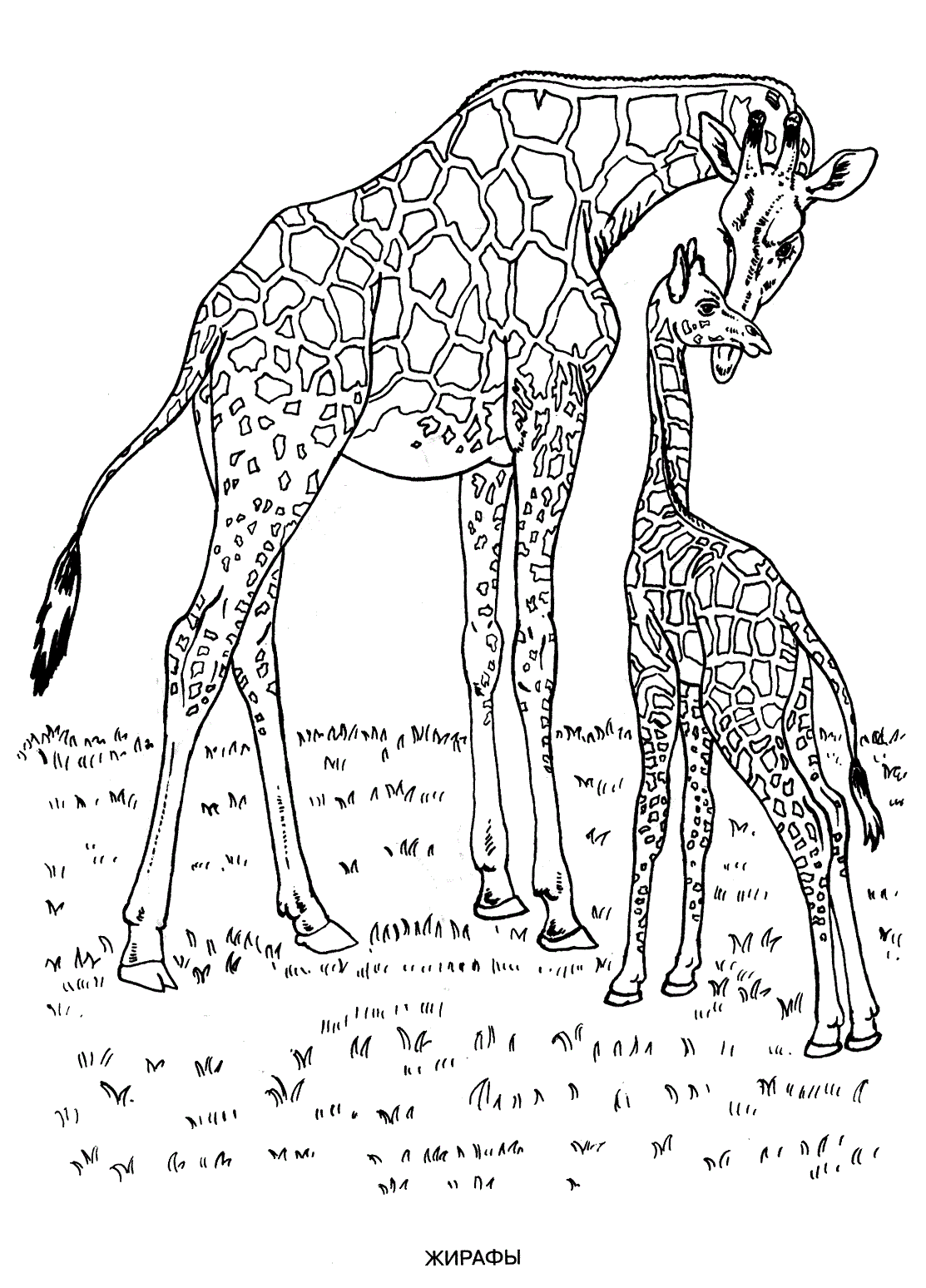 Wild animals coloring pages for kids to print for free