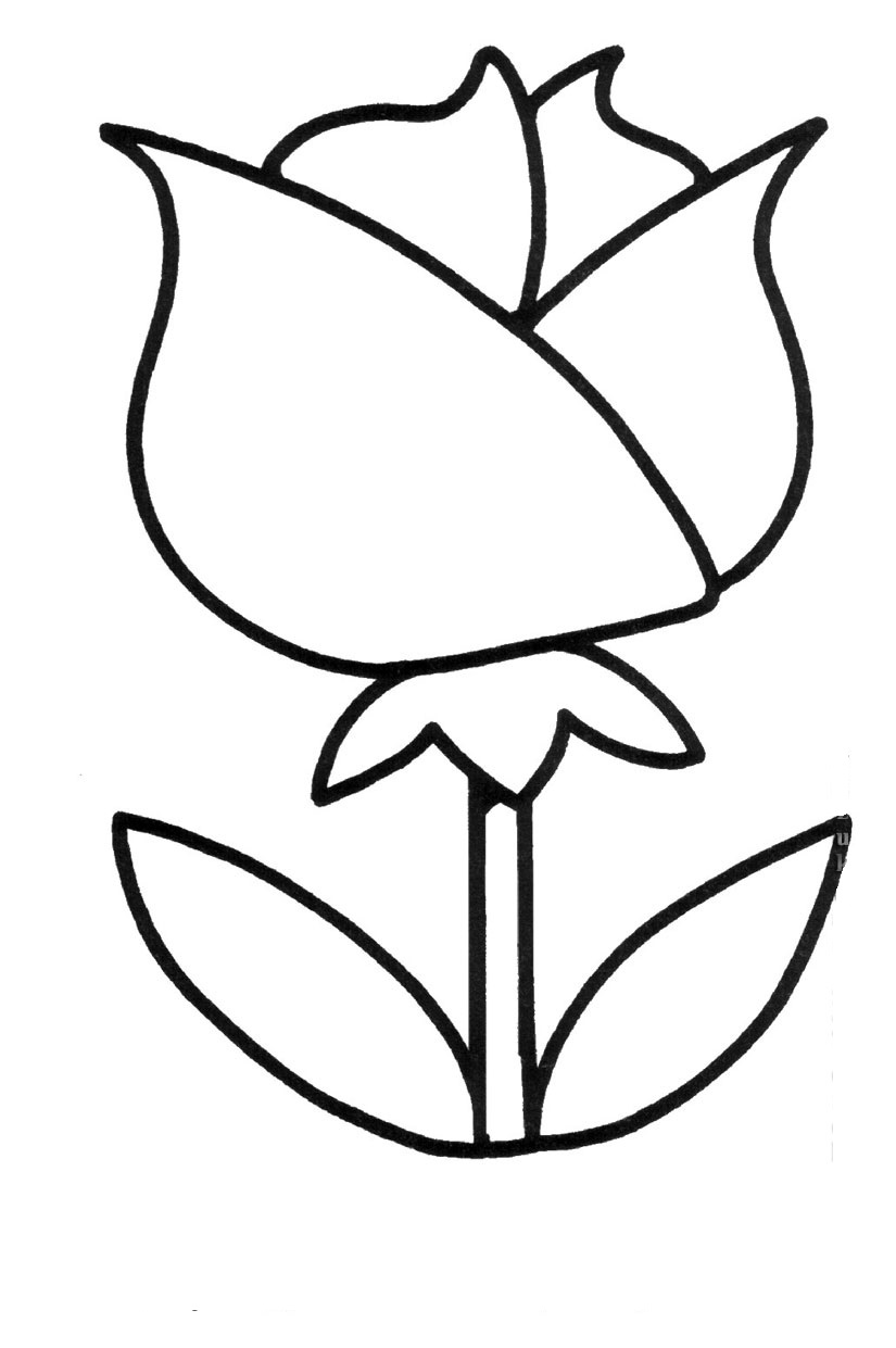 Coloring pages for 34 year old girls 34 years nursery