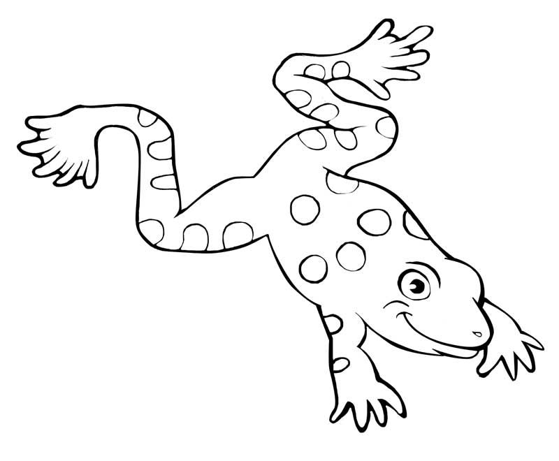 Frogs coloring pages to download and print for free