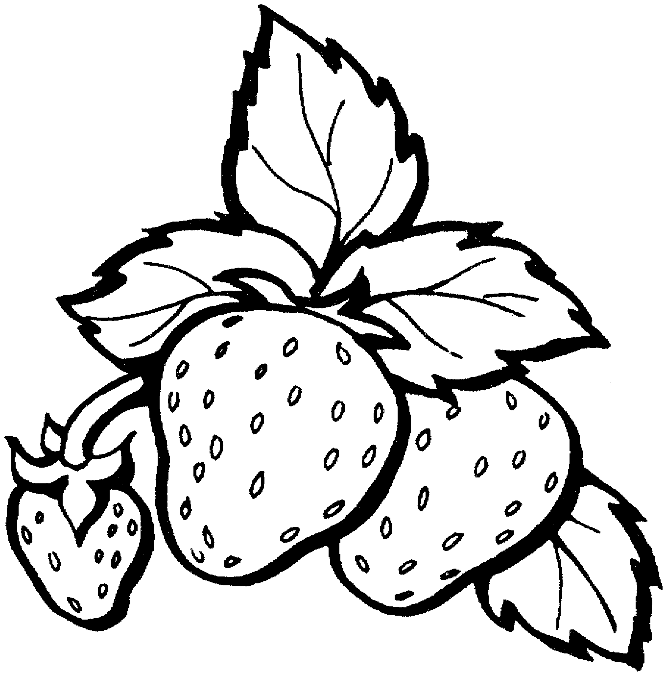 fruit-coloring-pages-for-childrens-printable-for-free