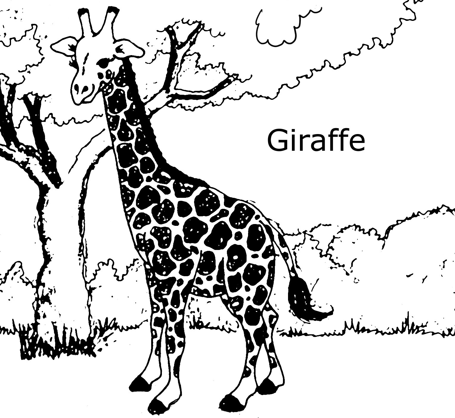 Giraffes coloring pages to download and print for free