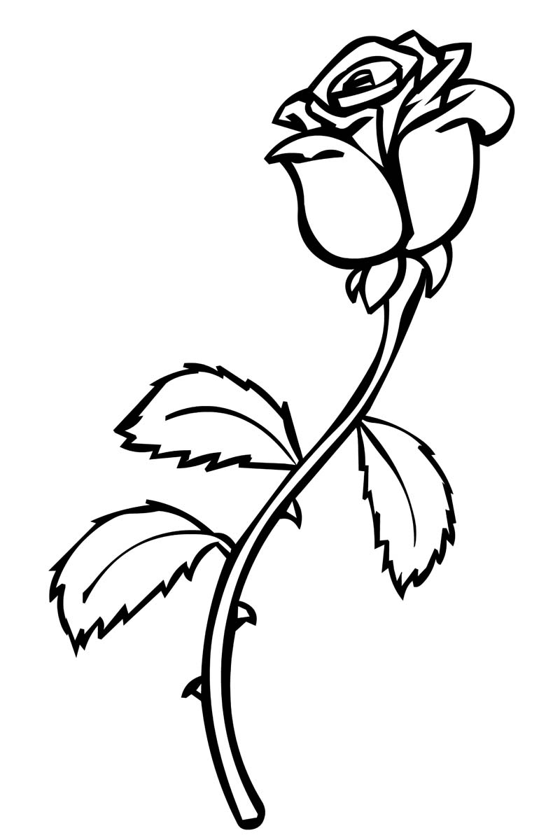 Roses coloring pages to download and print for free