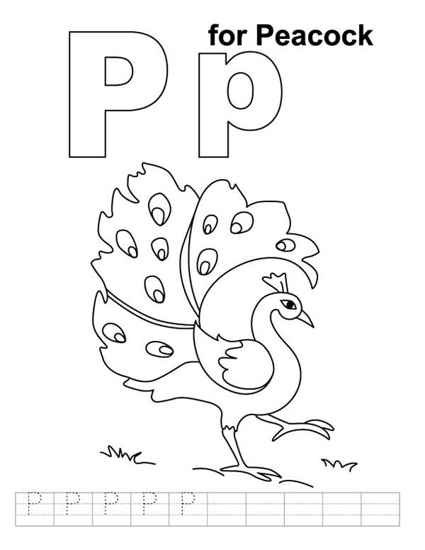 Letter P coloring pages to download and print for free