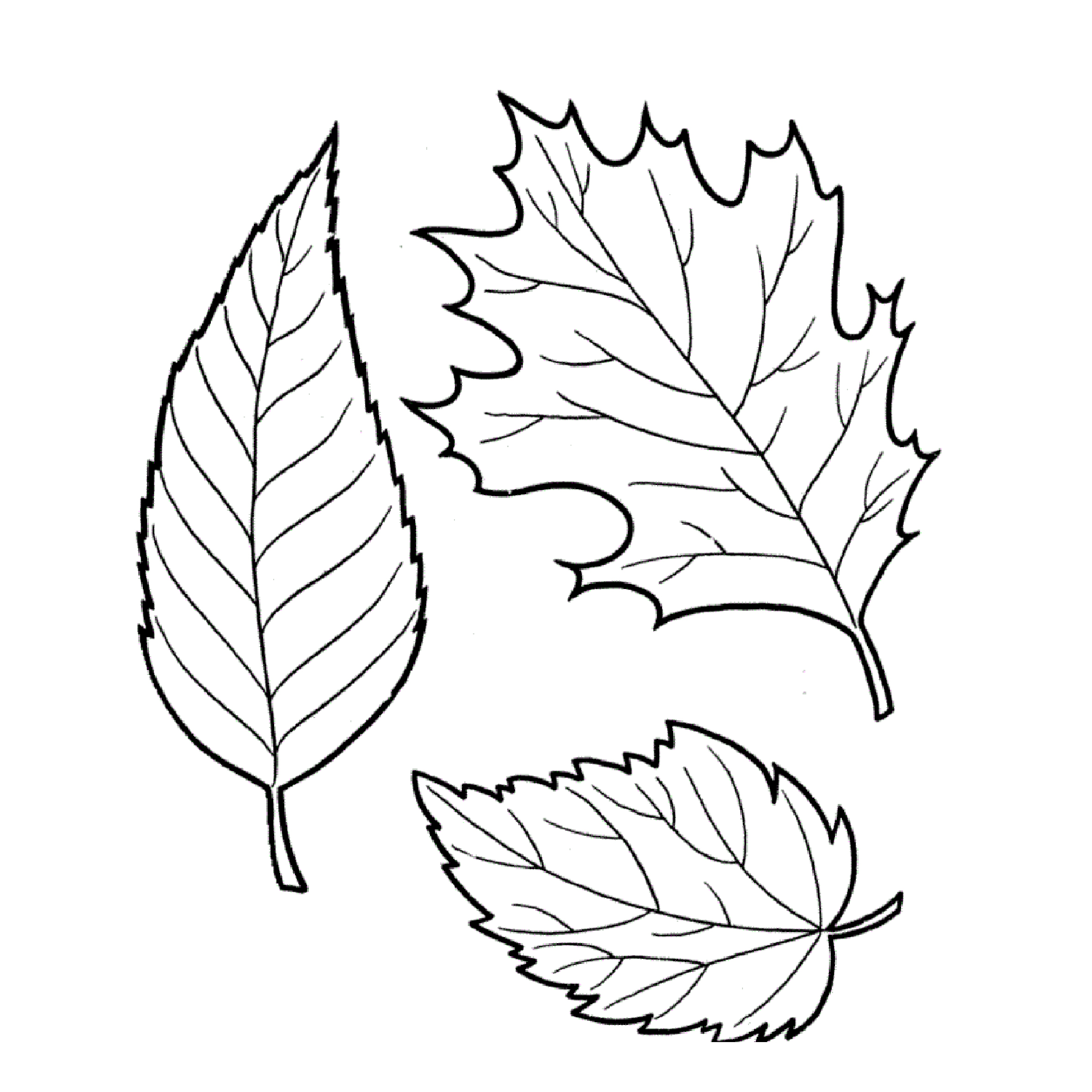 181 Cartoon Printable Leaf Coloring Pages with Printable