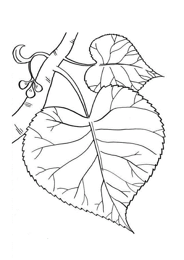 Tree leaves coloring pages for kids to print for free