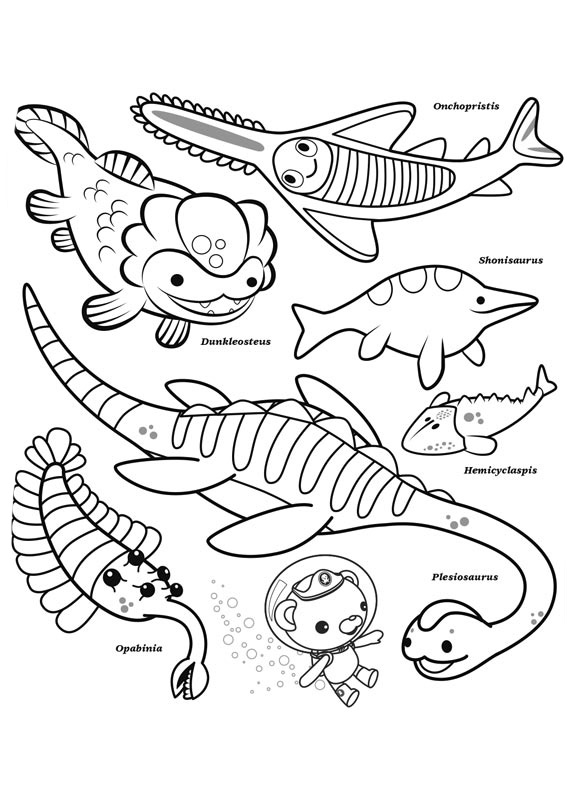 octonauts coloring pages pesos - photo #36