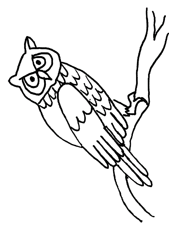 Owls Coloring pages to download and print for free