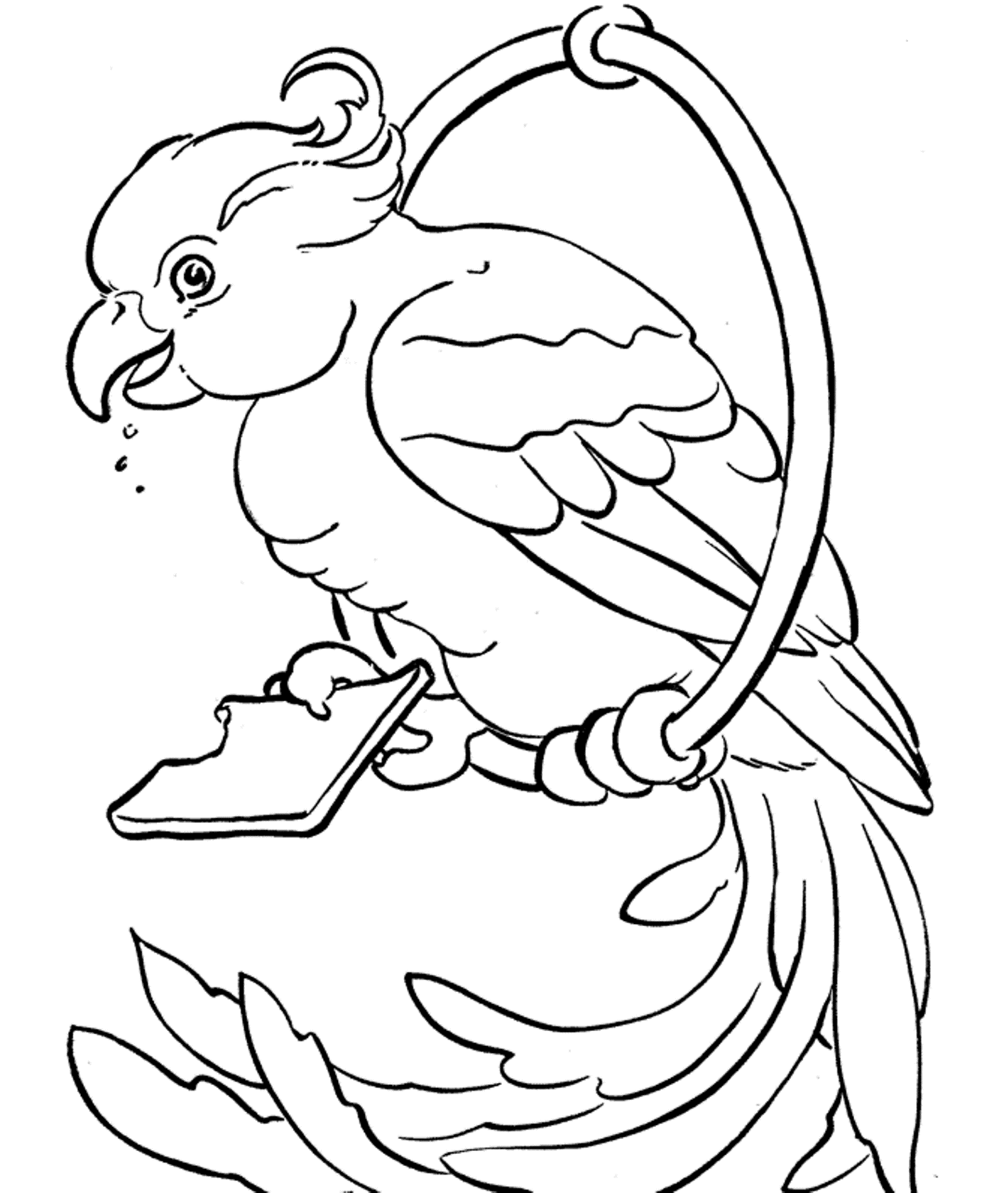 Parrot Coloring Page 2