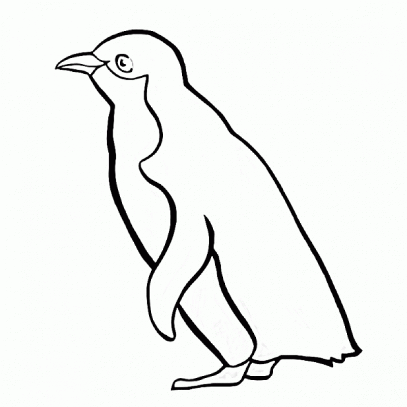 Penguins coloring pages to download and print for free