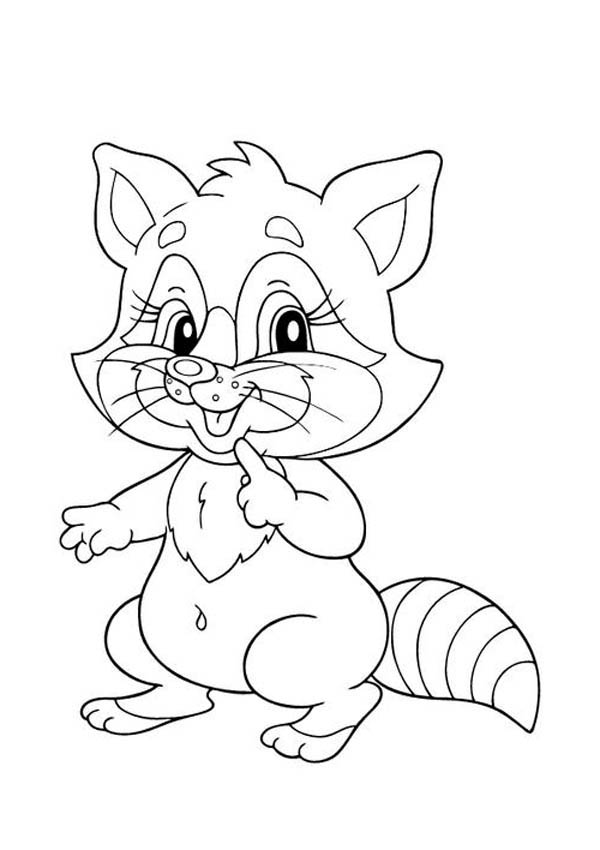 raccoon coloring pages - photo #18