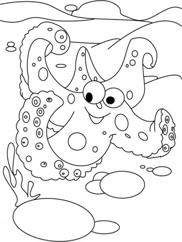 Starfish coloring pages to download and print for free