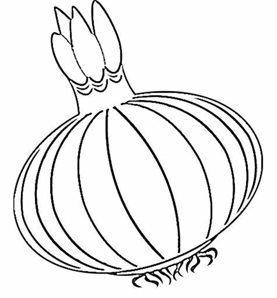 Onion coloring pages to download and print for free