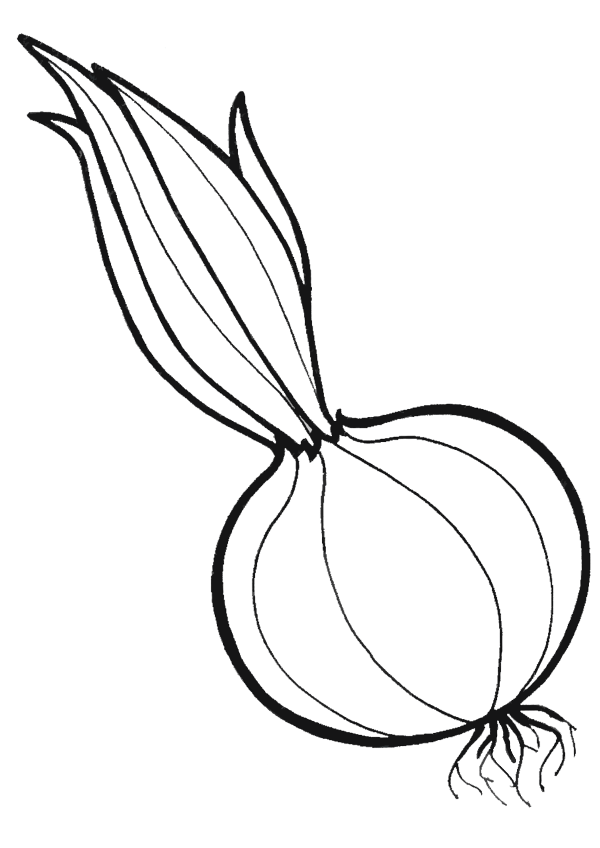 Onion coloring pages to download and print for free