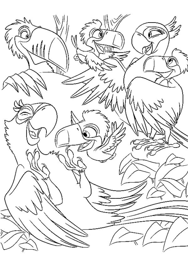 Rio 2 coloring pages to download and print for free