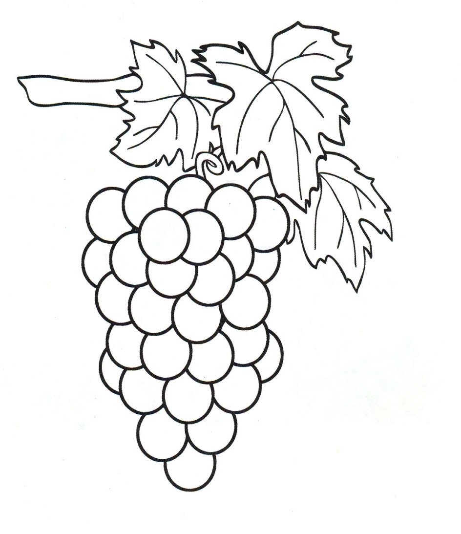 Grapes coloring pages to download and print for free