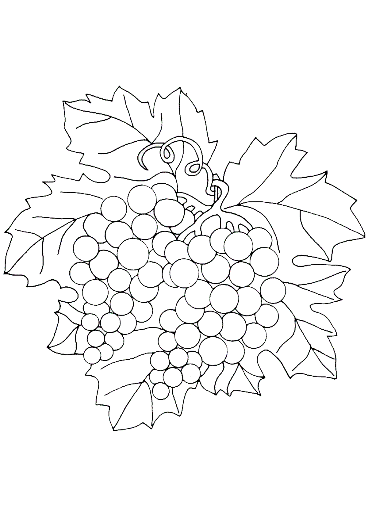 coloring grapes fruits vegetables coloringtop