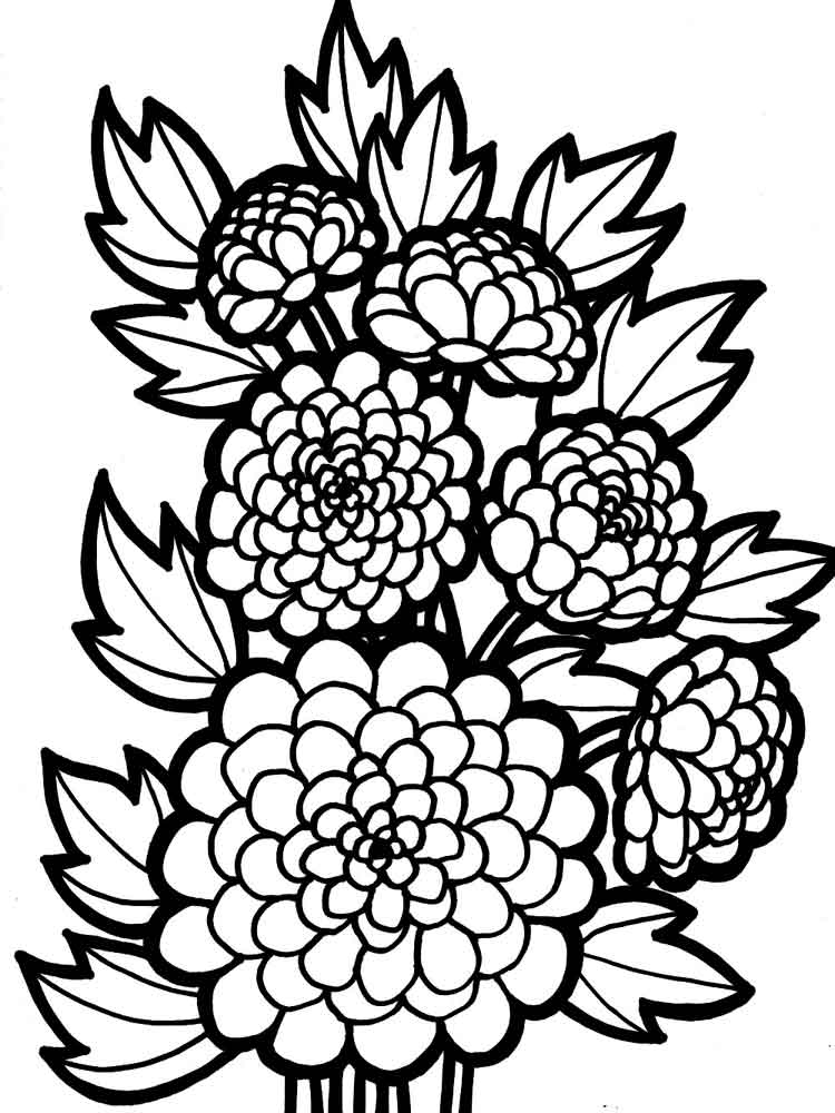 Chrysanthemum coloring pages to download and print for free