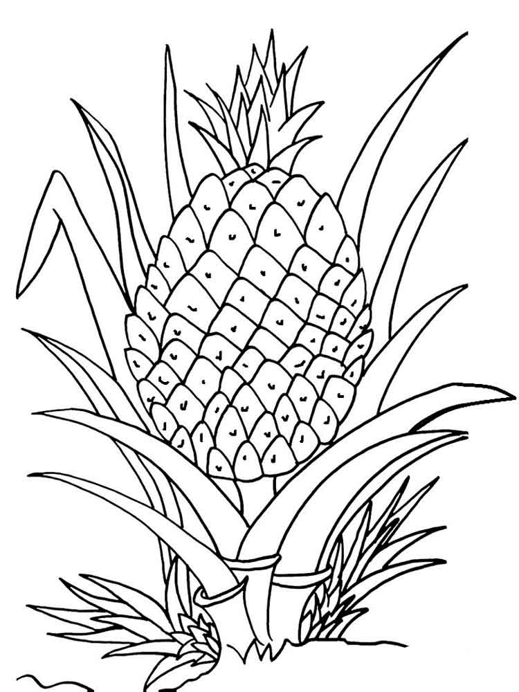 Pineapple coloring pages to download and print for free