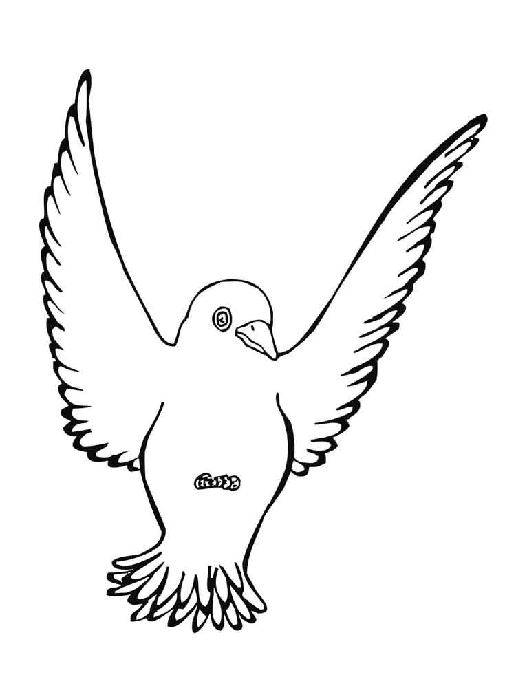 Thrush coloring pages to download and print for free