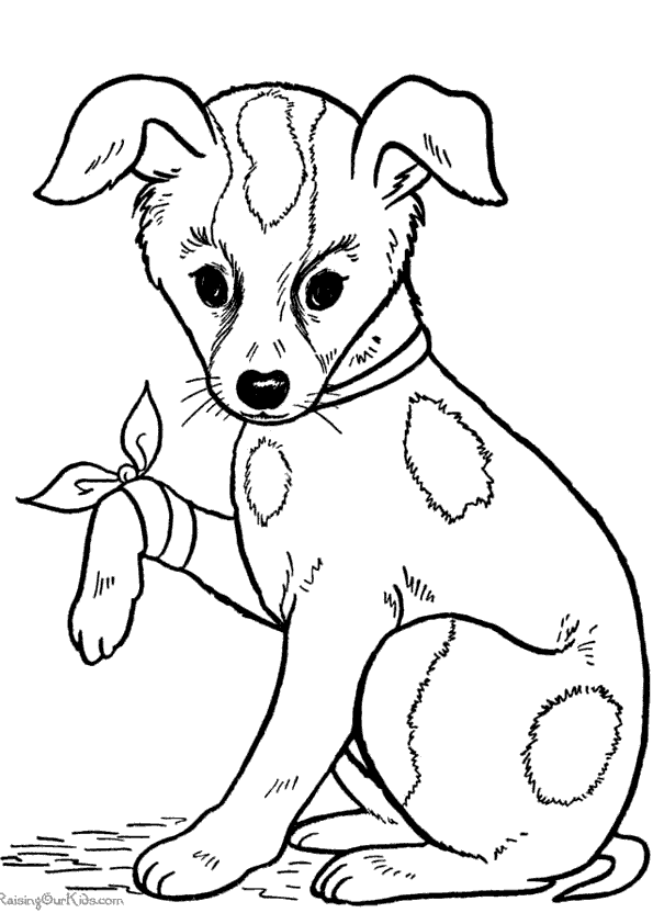 Dog with puppies coloring page to print dor free dog and