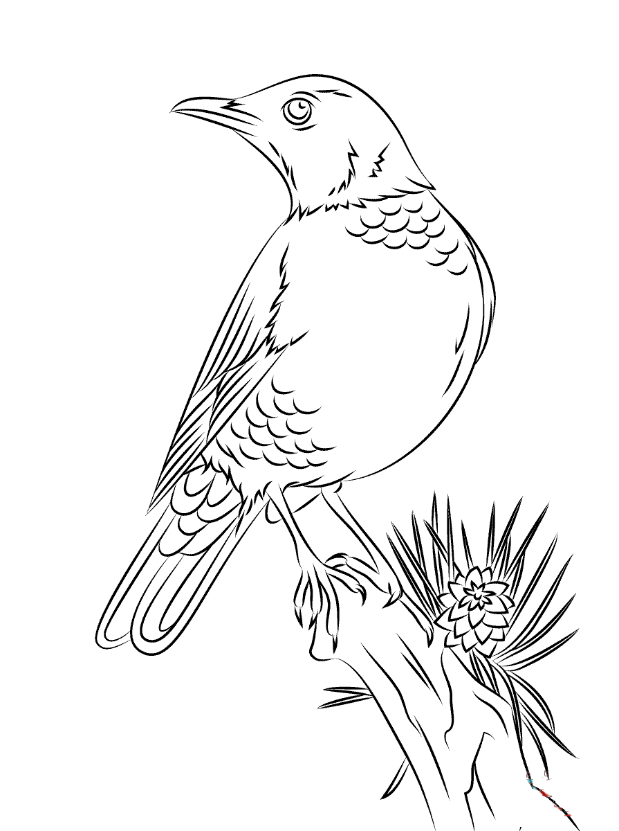 Thrush coloring pages to download and print for free