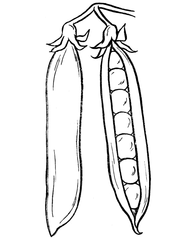 vegetable-coloring-pages-for-childrens-printable-for-free