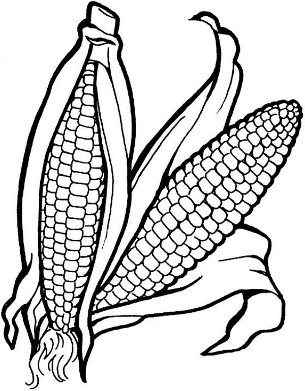 Vegetable Coloring Pages for childrens printable for free
