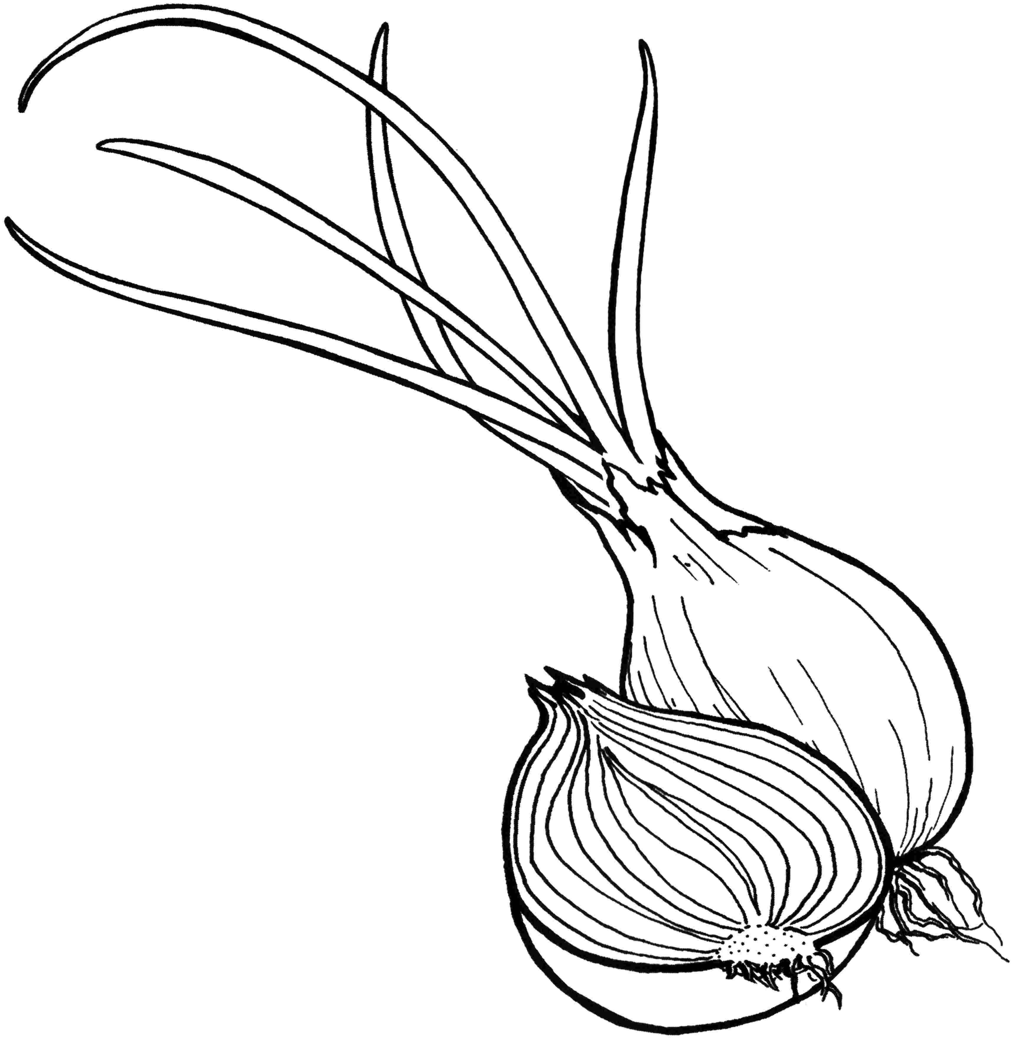 Vegetable Coloring Pages for childrens printable for free