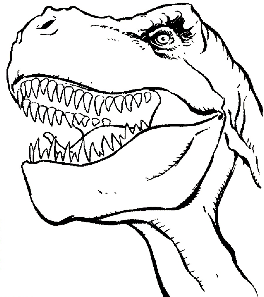t rex coloring pages to download and print for free