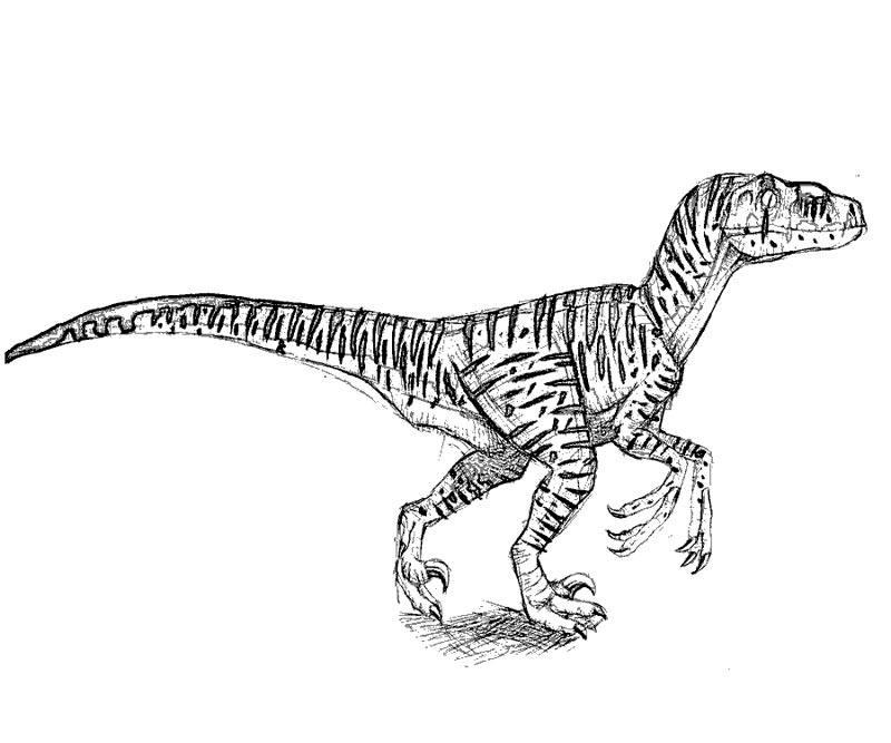 Raptor coloring pages download and print for free