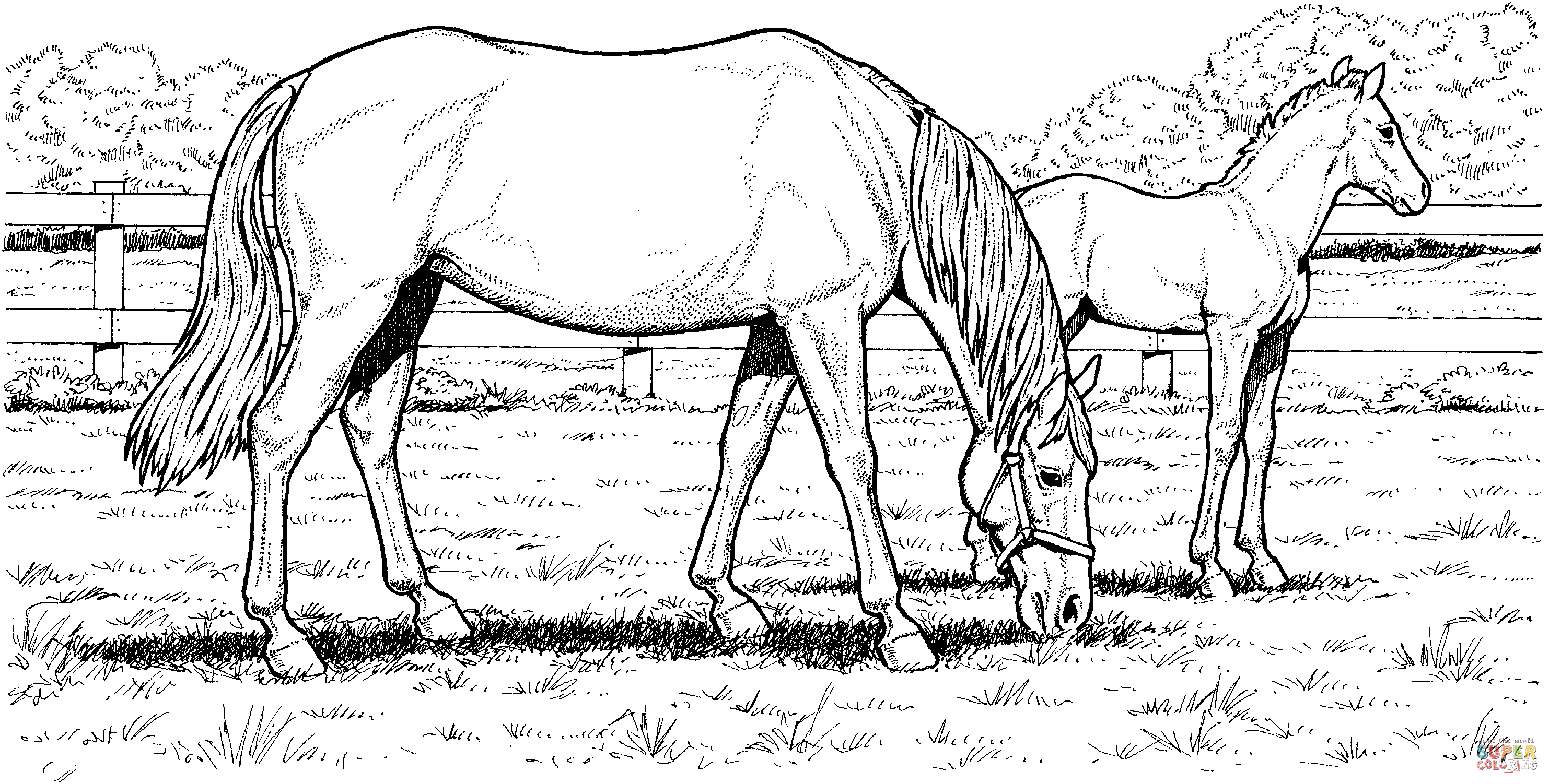 Horse Coloring Page Printable - Printable World Holiday