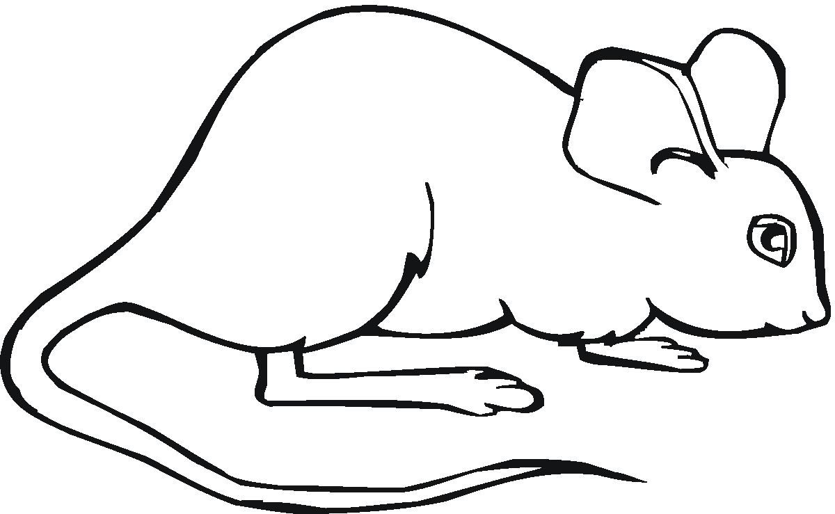 Mouse coloring pages to download and print for free
