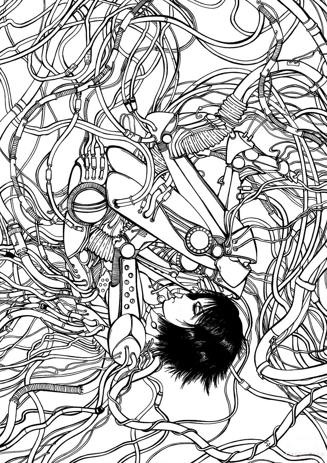 coloring alita battle angel gunnm gally anime printable drawing antistress colorings paper
